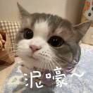 极简主义者_vZFp