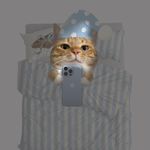 江湖第一大傻子