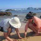 糖醋鸡蛋不甜了