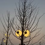 啦啦啦我是卖报小行家