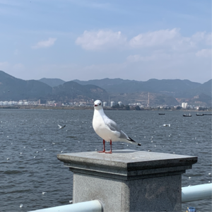 35. 如何找到人生热爱