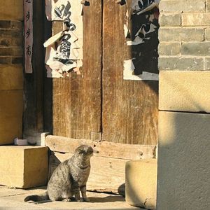 每日一读文化遗产