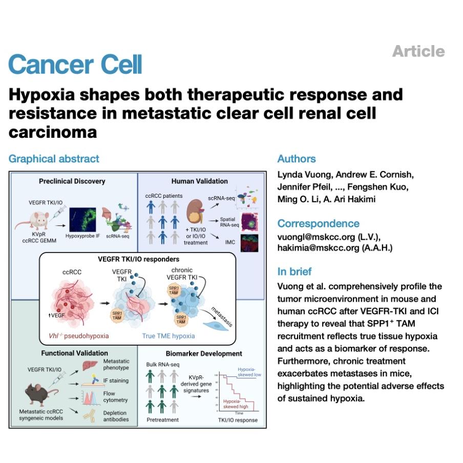 1172-Hypoxia-Driven Therapeutic Response in Metastatic ccRCC episode artwork