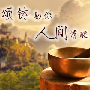 先辈能量链接by澜息颂钵