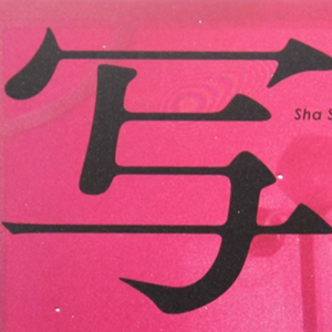 日本《写真》:什么是日本摄影的先进性?