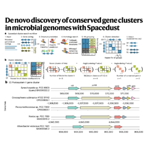 319-Spacedust: Discovery of Conserved Gene Clusters