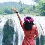 属于自己的芝子