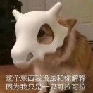 张女士_RRNL