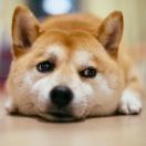 郭小欣欣欣