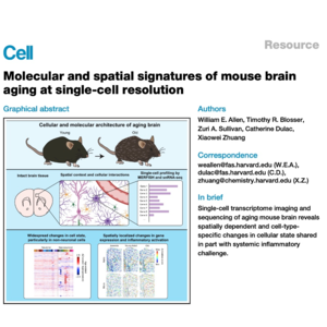 893-Molecular and Spatial Signatures of Mouse Brain Aging