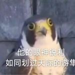 凯勒布琳达