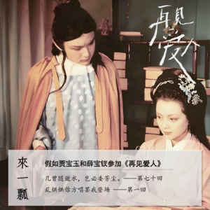 024」假如贾宝玉和薛宝钗参加《再见爱人》