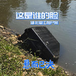014. 这是谁的脸：湖北潜江抛尸案