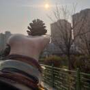 晚风_K8vu