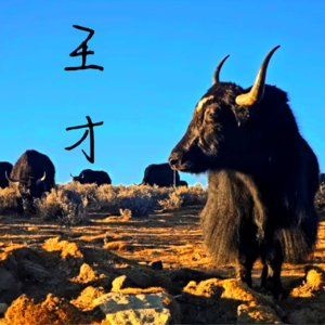 Vol.13 鲁迅的《我们现在怎样做父亲》:百年前的家庭革命实验