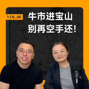 Vol.88 跌了你不敢,涨了你眼馋?牛市进宝山,别再空手还!