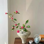 木子muz