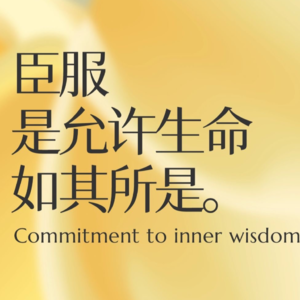 臣服：痛苦的炼金术——全网最细讲解《当下的力量》完结篇P7