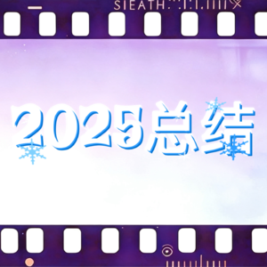美好的2025总结——祛魅、防御、受阻、熬夜、尝试1