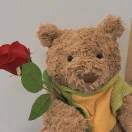 randi_DX9A