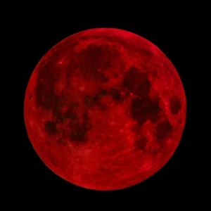 052 《羊奶煮羊羔》：俄罗斯黑色幽默文学奇书、国民级讽刺小说