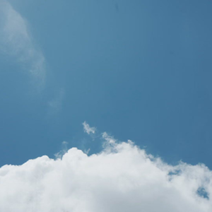 017-在职场，若没有“出走的决心”，就先演好“牛马”这场戏