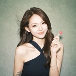小太阳牌太阳能发电站