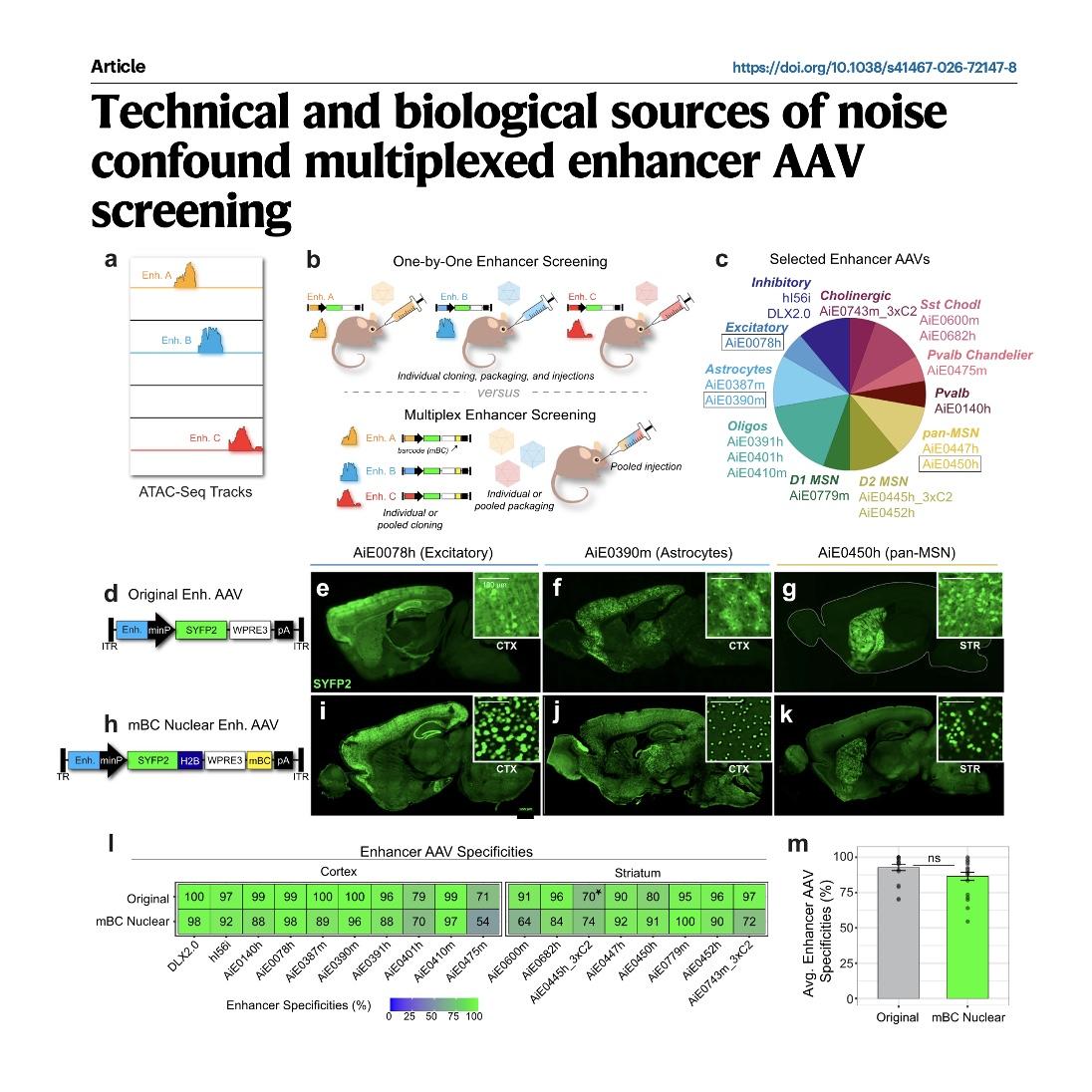 1153-Confounding Noise in Multiplexed Enhancer AAV Screening episode artwork