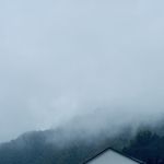 _柏青山_