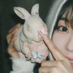 小毛崽崽一只耳