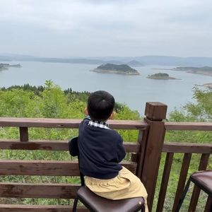 追风小糕子