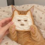 一个幸运的小圆子