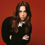 枸杞吞红枣枣枣枣枣-