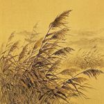南山风吹过