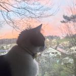 Crystal_ToUY