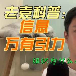 组织为什么会走向衰退？信息万有引力定律