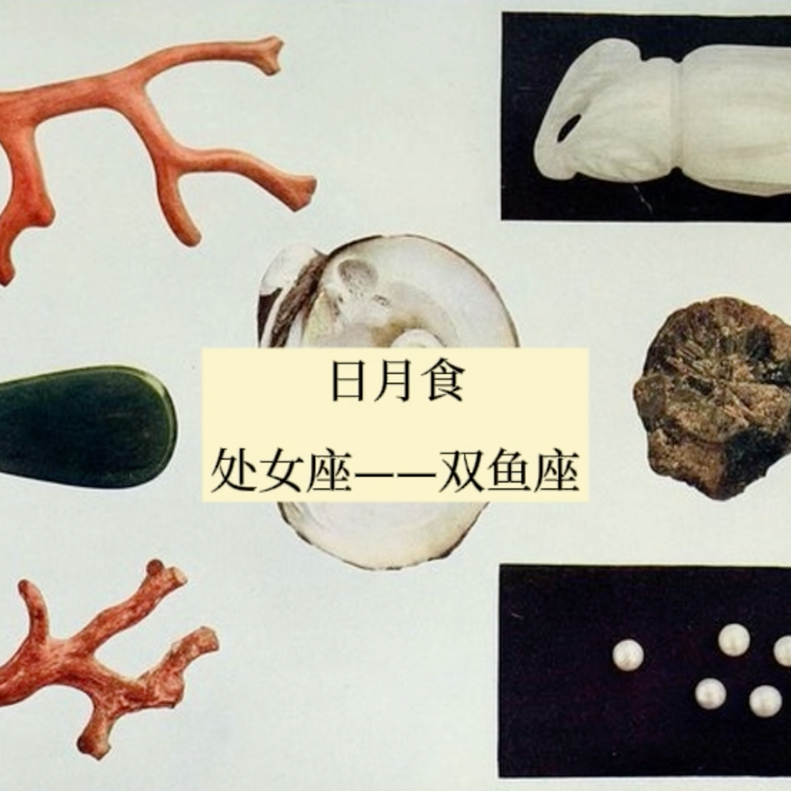 重磅星象｜2025年(至2027) 处女-双鱼 日月食｜迎接宇宙震动 episode artwork