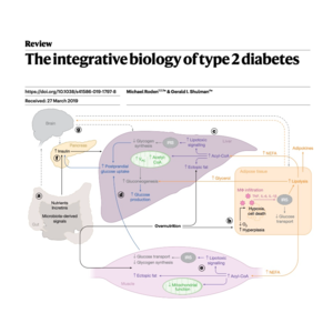 114-The integrative biology of type 2 diabetes