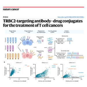 683-Targeting TRBC2 for the Treatment of T Cell Cancers