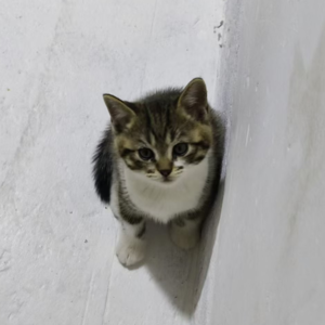 02.你有多久没停下脚步了？那些蹲下来才能看到的生命