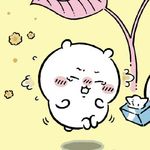 小春宝