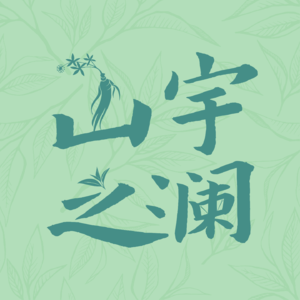 “我辞了公立三甲的铁饭碗”|一个反内卷中医的出走宣言