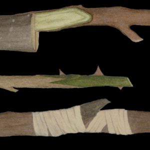 你这么勇敢，一定很痛苦吧