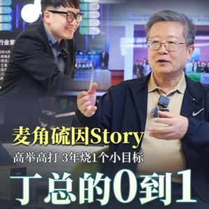 丁总的麦角硫因，3年烧掉一个小目标