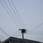 昵称不再更新
