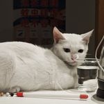 严日初