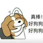 小熊猫不是小熊猫
