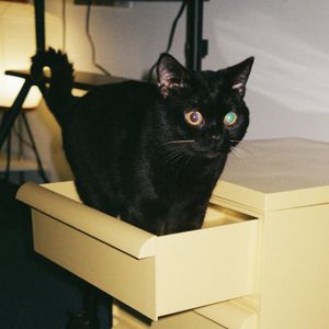 podcaster-avatar