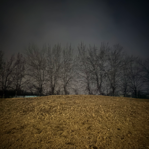 孤独的三副面孔，你可曾见过？