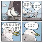 查理他哥